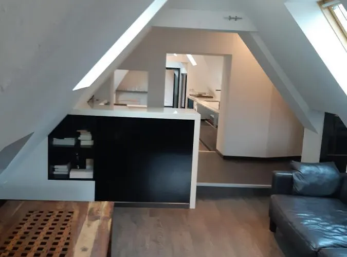 Superbe Loft En Centre-Historique